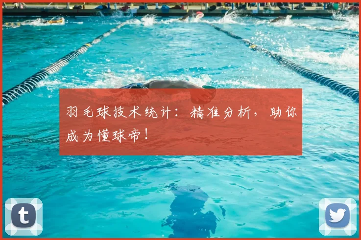 羽毛球技术统计:精准分析,助你成为懂球帝!