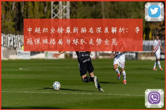 中超积分榜最新排名深度解析:争冠保级格局与球队走势全览