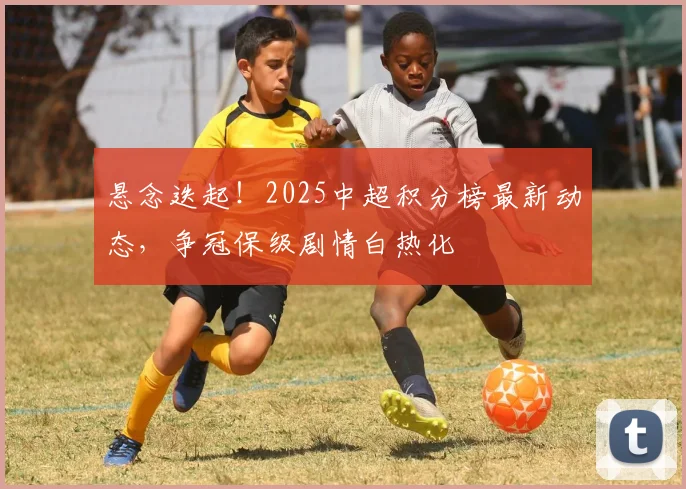 悬念迭起！2025中超积分榜最新动态，争冠保级剧情白热化